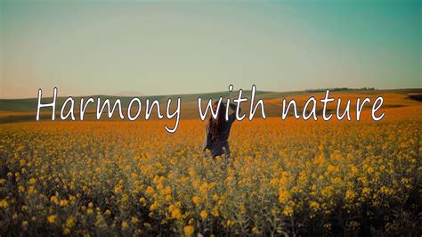 Гармония с природой Harmony With Nature Youtube