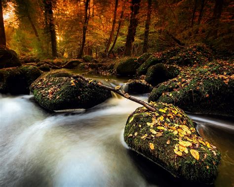 Download Wallpaper 1280x1024 Autumn Stones Moss Stream Leaves