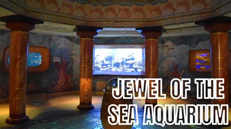 Jewel Of The Sea Aquarium Seaworld Orlando Youtube