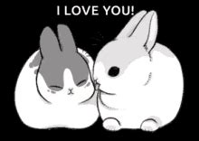 Cute Bunny Discord Emojis Cute Bunny Emojis For Discord