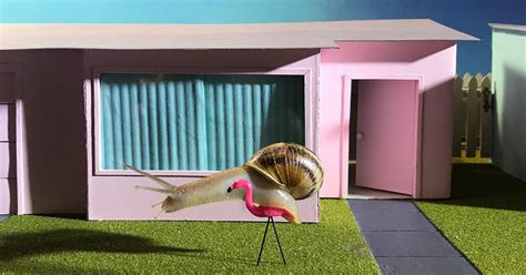 Aleia Murawski And Sam Copeland Create Miniature Worlds For Their Pet