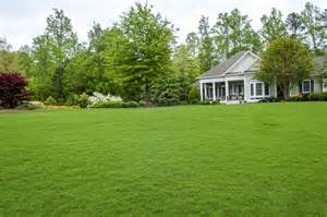 When watering a new lawn, use just enough water to keep the soil moist at seed depth. 7 Tips for Green, Lush Grass - Better HouseKeeper