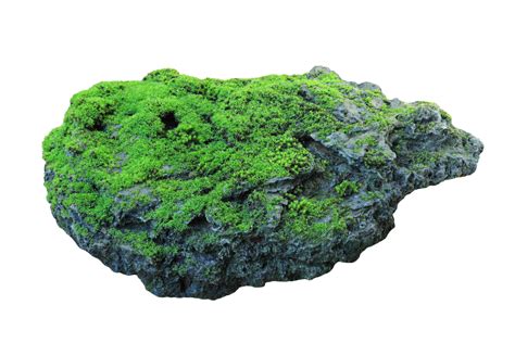 Rock Covered In Green Moss Isolated On Transparent Background 10792682 Png