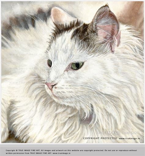 Symbolism of white and black cats in dreams. White cat portrait painting in acrylic by True Image Fine Art