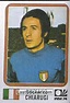 Sticker 307: Luciano Chiarugi - Panini FIFA World Cup Munich 1974 ...