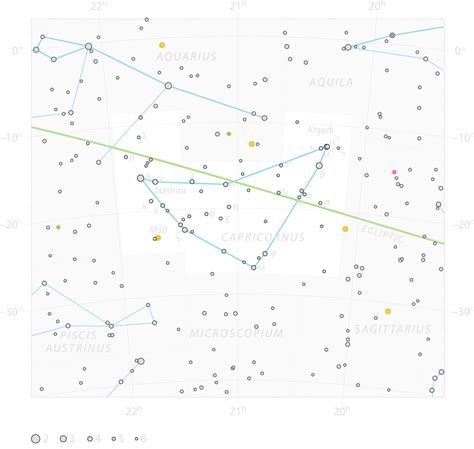 Capricornus The Sea Goat Constellation