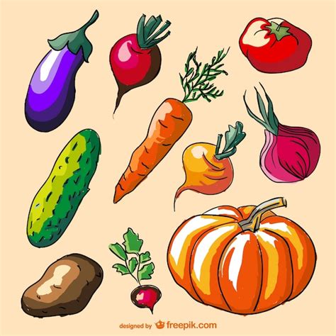 Dibujos A Color De Verduras Descargar Vectores Gratis