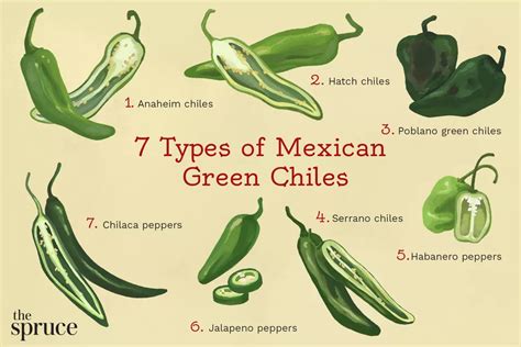 7 types of mexican green chiles stuffed peppers stuffed green peppers green chili peppers