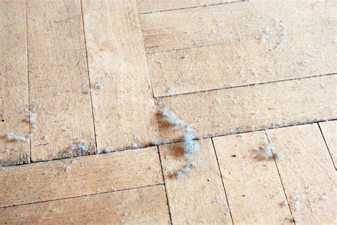 Practical Ways To Control Dust In The Home Home Improvement Base