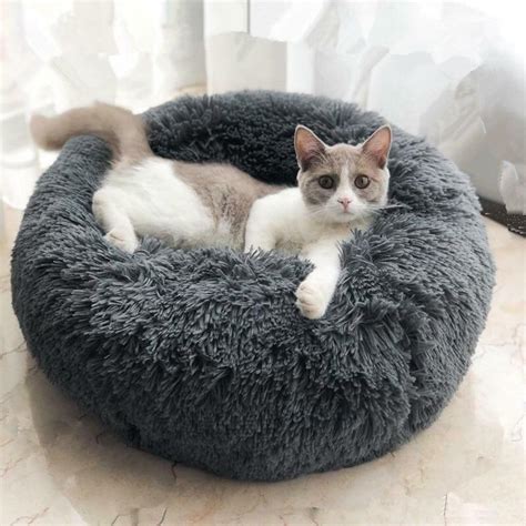 Cozy Calming Bed For Cats Alpha Paw Llc