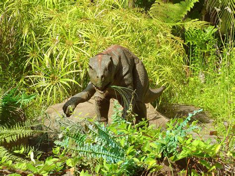 Psittacosaurus Park Pedia Jurassic Park Dinosaurs Stephen Spielberg Wikia