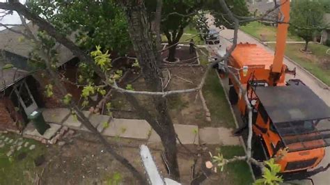 Tree Removal With Bucket Truck Part 1 Arlington Youtube