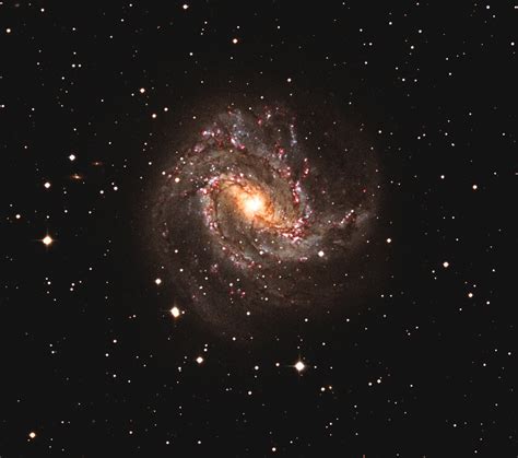 The Southern Pinwheel Galaxy 08 Fev 2021 Telescope Live