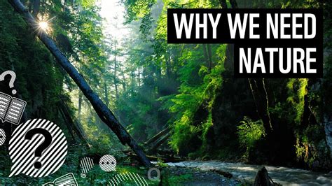 Why Do We Need Nature Wwf Youtube