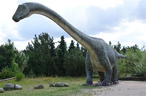 Mengungkap 100 Jejak Kaki Dinosaurus Berusia 725 Juta Tahun Di Kanada