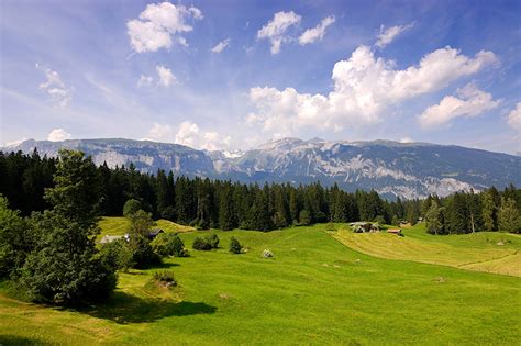Picture Switzerland Nature Mountain Sky Forest Scenery Grasslands
