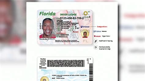 Drivers License Test Florida Cost