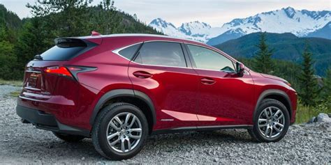 Lexus Ux Vs Nx Which Compact Lexus Suv Is For You Motorborne