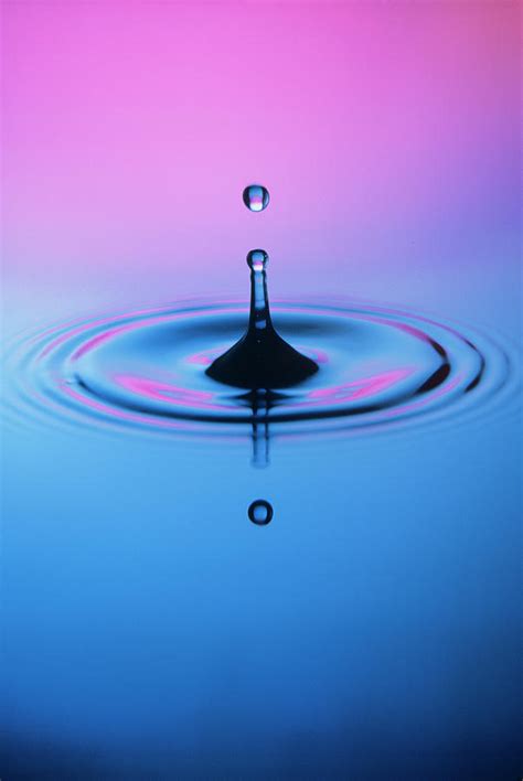 Drop Falling Into Water Photograph By Martin Dohrnscience Photo