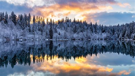Snow Covered Trees With Reflection On Lake Under Black Yellow Cloudy