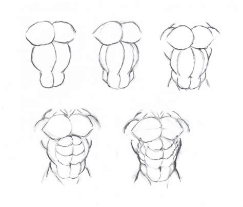 Draw Muscle Torso By Krigg On Deviantart Art Reference Poses Male