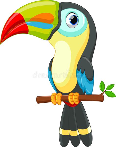 Cute Toucan Bird Cartoon Stock Illustration Image 59291475
