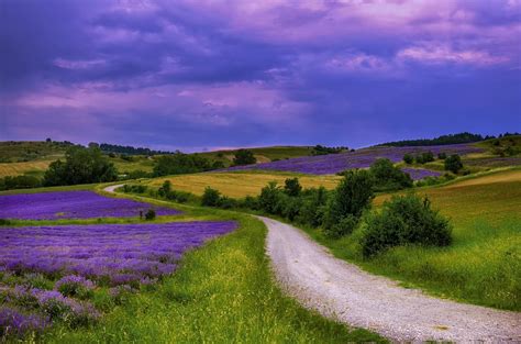 Free Image on Pixabay - Fields, Colors, Nature, Lavender | Landscape ...