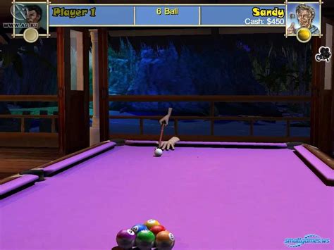 Pool Paradise Download Free Full Game Speed New