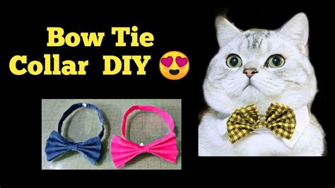 There are 14337 cat bow tie for sale on etsy, and they cost nz$13.95 on average. DIY cat collar tutorial | How to make a Cat bowtie | Bow ...