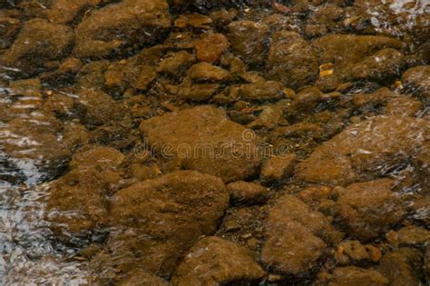 Riverstone Wallpaper Stock Photos Free Royalty Free Stock Photos From Dreamstime