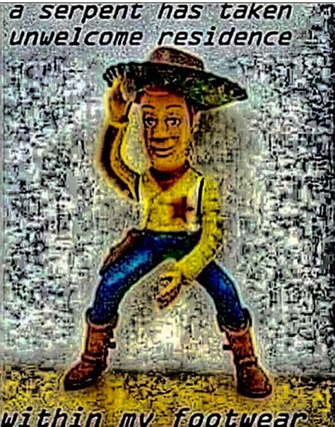 Woody Toy Story Theres A Snake In My Boot Explained In Description