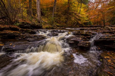 Photo Ricketts Glen State Park In Pennsylvania Forest United States