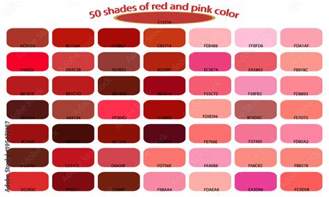50 Shades Of Red Pink Colors Isolated On White Background Red And Pink