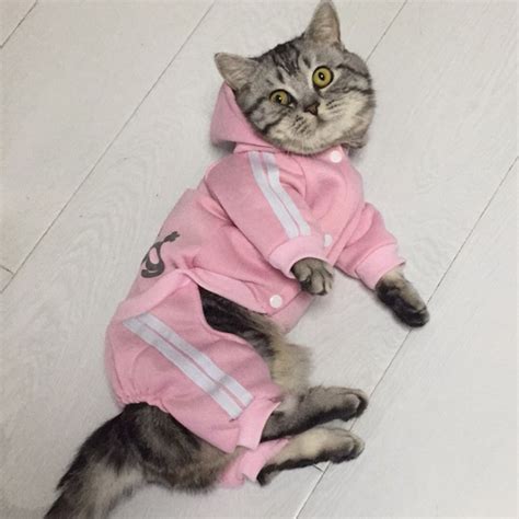 Fashion Cat Clothes For Cats Winter Warm Cozy Cat Clothing For Pets