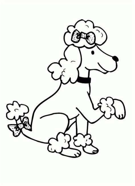 Puppy coloring book page with a poodle! Free Poodle Coloring Pages - Coloring Home