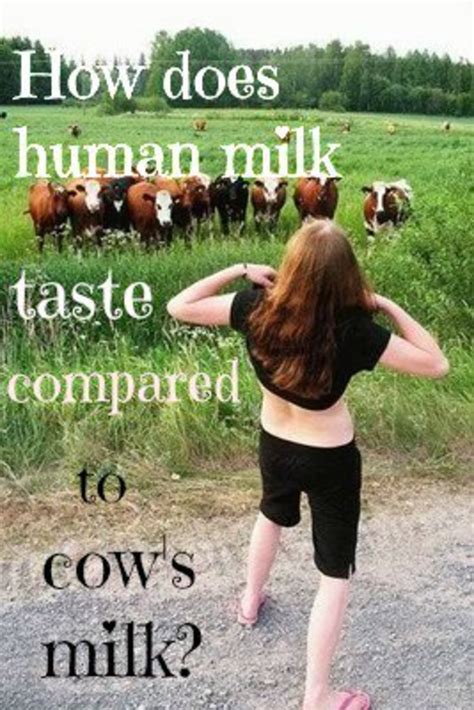 An Experiment Comparing The Taste Of Cow S Milk To Human Breast Milk