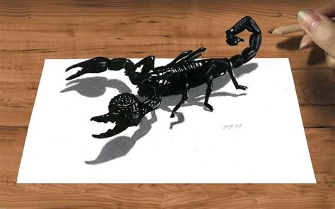 3d Pencil Drawing Emperor Scorpion How To Draw Animals