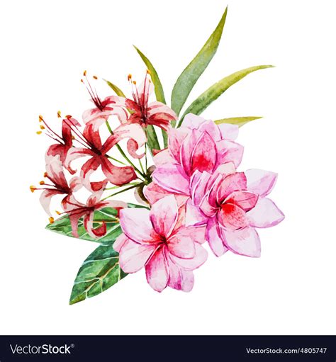 tropical watercolor flowers royalty free vector image