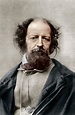 Alfred, Lord Tennyson, Poet, c1867 - Stock Image - C042/2616 - Science ...