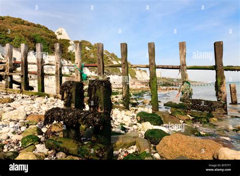 Delapidated Groynes On The Beach At Holywell Eastbourne Stock Photo