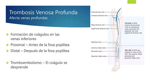 Trombosis Venosa Profunda Y Embolia Pulmonar Pptx