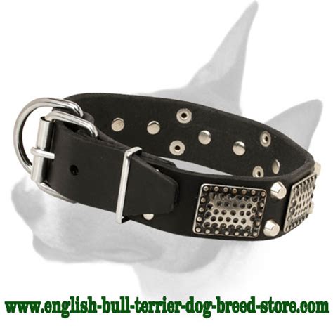 Order Walking Designer Leather Bull Terrier Collar