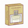 Celine Dion Parfums EDTS Bonus Size 3.4 fl oz 100 ml | Shop Your Way ...