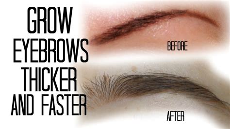 How To Grow Your Eyebrows Thicker And Faster Naturally Stesha Youtube