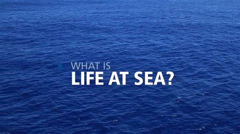 What Is Life At Sea