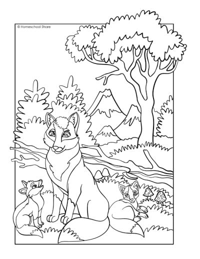 Forest Animal Coloring Pages Homeschool Share
