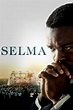 Selma (2014) - Posters — The Movie Database (TMDB)