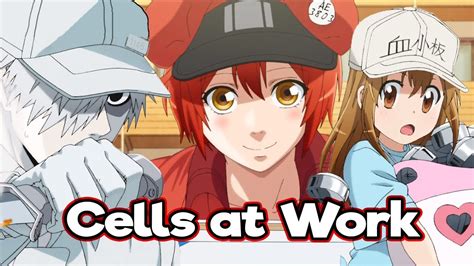 Cells At Work Is The Best Anime Of 2018 Youtube