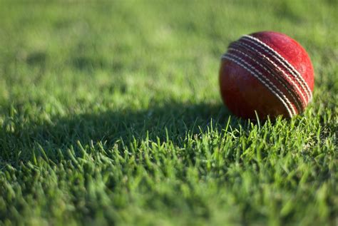 Free Stock Photo 4844 Cricket Field Freeimageslive