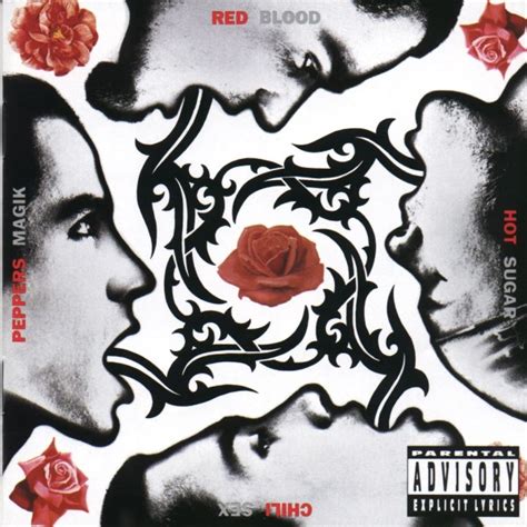 Red Hot Chili Peppers Blood Sugar Sex Magik 2lp Sarajevodisk Music Shop